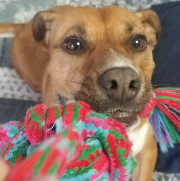 Meet your Posher, Heather - Picture 6 of 8